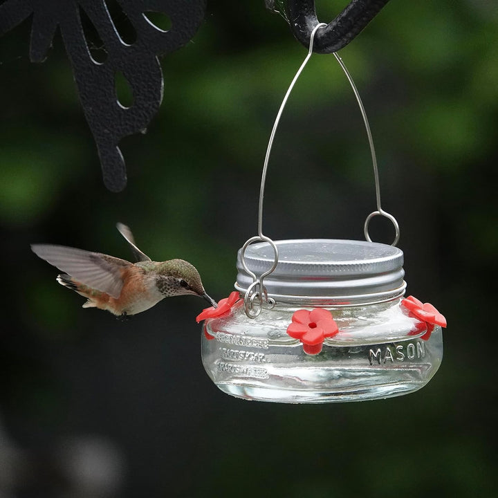 Mason Jar Hummingbird Dish Feeder