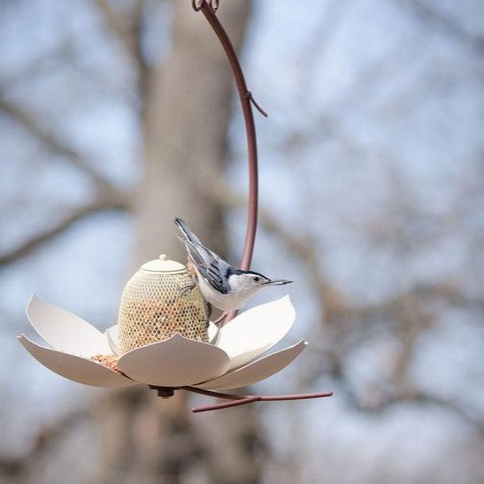 The Magnolia Metal Bird Feeder