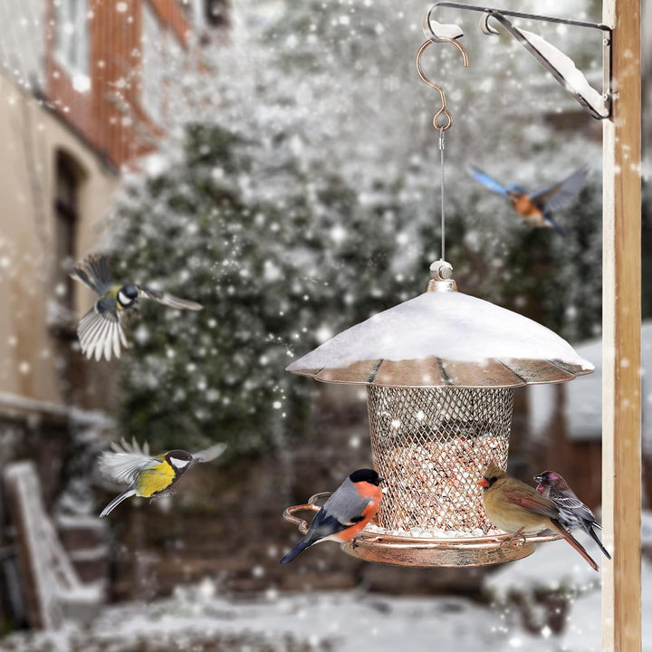 SAMHEOUTDOOR 2.0lb Flower Petals Shaped Metal Bird Feeder