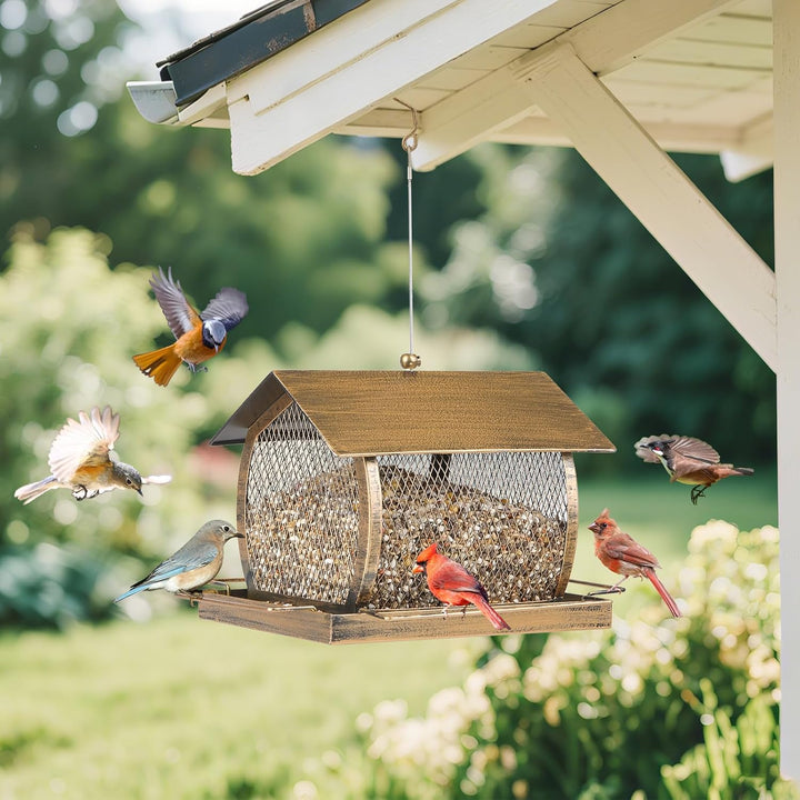 SAMHEOUTDOOR 2lb Rural Houses Metal Bird Feeder