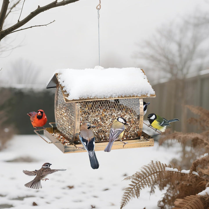 SAMHEOUTDOOR 2lb Rural Houses Metal Bird Feeder