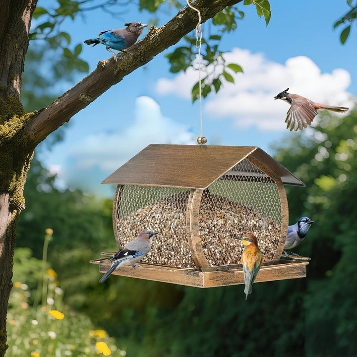 SAMHEOUTDOOR 2lb Rural Houses Metal Bird Feeder