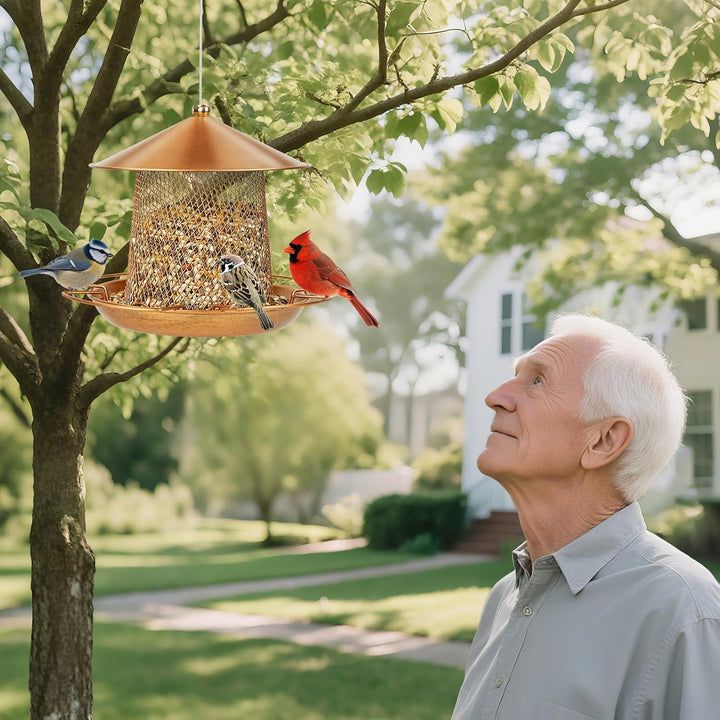 SAMHEOUTDOOR 2.5lb. Metal Lantern-Shaped Bird Feeder